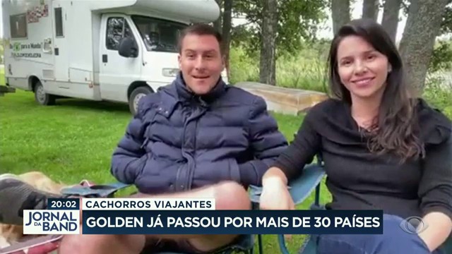 Cachorros viajantes: golden já passou por mais de 30 países Reprodução TV