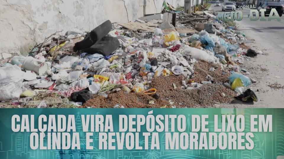 De cavalos comendo lixo na rua a esgoto estourado: moradores de Olinda  convivem com descaso