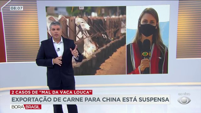 Exportação de carne para China está suspensa Reprodução TV