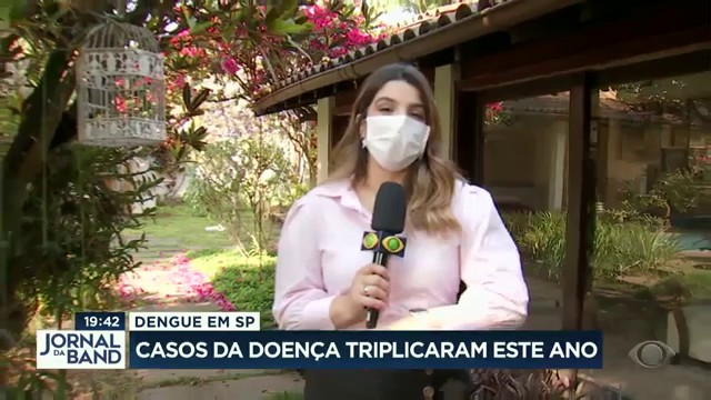 Casos de dengue triplicaram este ano em SP Reprodução TV