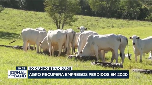 Agro recupera empregos perdidos em 2020 Reprodução TV