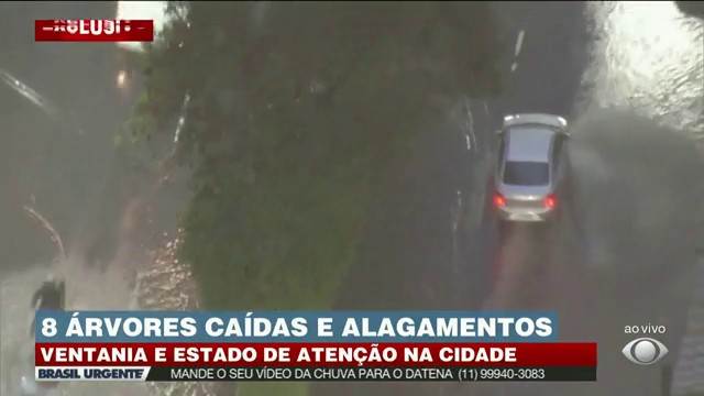 BRASIL URGENTE: CHUVAS EM SP CAUSAM ALAGAMENTOS E QUEDAS DE ÁRVORES Reprodução TV