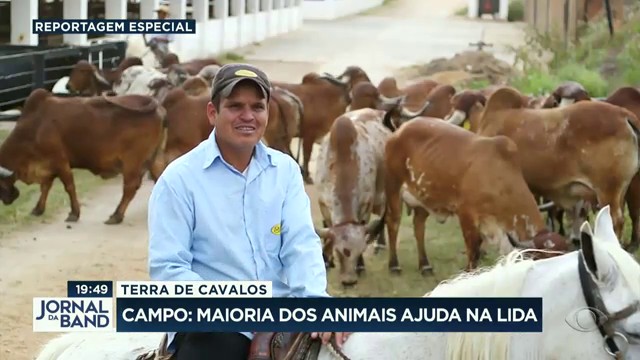 Terra de Cavalos - História do Animal do Brasil Reprodução TV