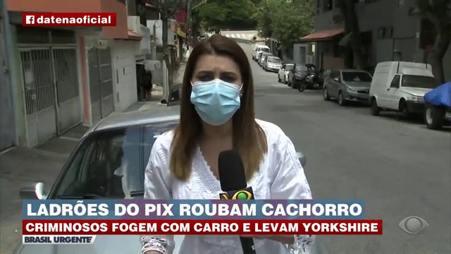 Bandidos agridem vítima em assalto e fogem levando carro com o cachorrinho  Reprodução TV