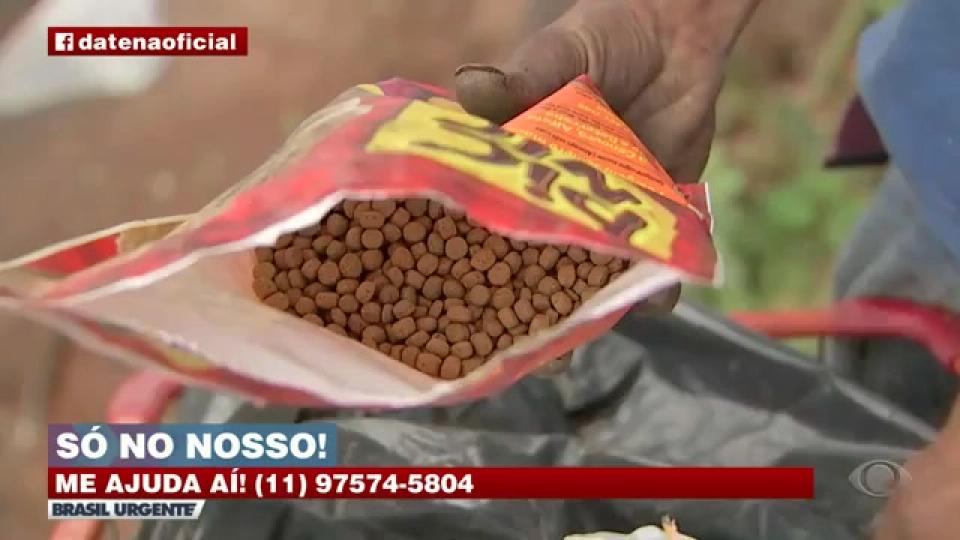 Catador de recicláveis come ração de animais pra não morrer de fome  Reprodução TV