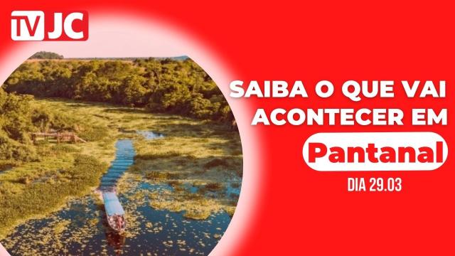 Pantanal, Joventino volta com uma boiada de marruás e todos o admiram