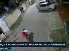 Criança é mordida por pitbull na Baixada Fluminense
