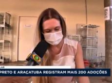 Rio Preto e Araçatuba registram mais de 200 adoções de animais