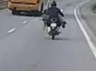 Porco é transportado de moto na BR-381 em Itaguara