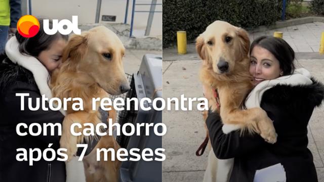 Vídeo mostra momento em que tutora se reencontra com cachorro após ficarem 7 meses separados