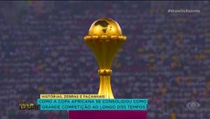 Costa do Marfin e Nigéria se enfrentam na FINAL da Copa Africana de Nações