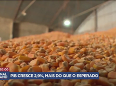Com alta na Agropecuária, PIB no Brasil cresce 2,9% em 2023