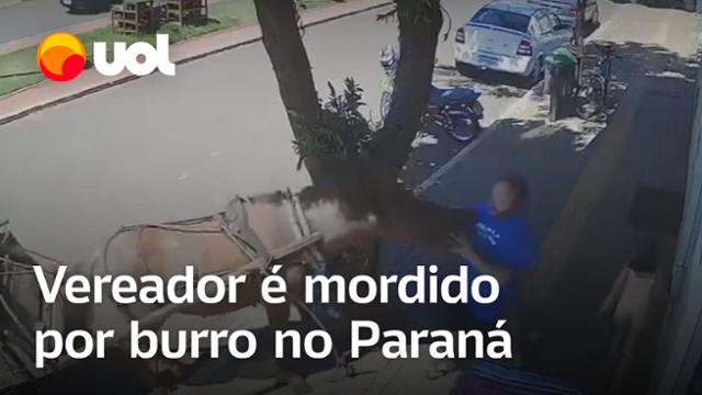 Burro morde vereador que passava por calçada no Paraná