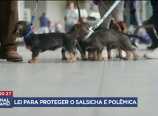 Lei alemã pode levar cães da raça “salsicha” à extinção, dizem criadores