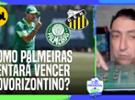 Como Palmeiras tentará furar a defesa com 5 jogadores do Novorizontino? PVC