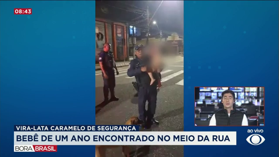 Guardas encontram bebê que andava sozinho com cão caramelo no Pará