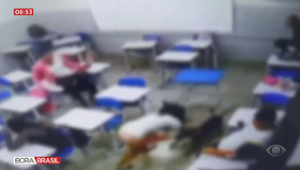 Aluna é atacada por cachorro dentro da sala de aula