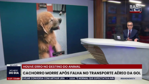 Cachorro morre após falha no transporte aéreo da Gol