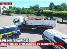 PCC: Recorde de apreensões de maconha no Mato Grosso