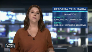Juliana Rosa: reforma tributária é avanço para o Brasil