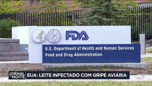 Vírus da gripe aviária é identificado em amostras de leite nos EUA
