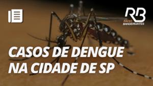 Casos de dengue começam a cair na cidade de São Paulo | O Pulo do Gato