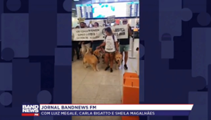 Joca: tutores de animais protestaram nos principais aeroportos do Brasil