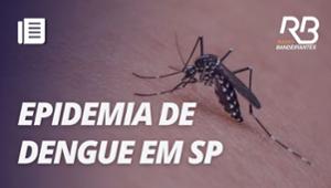 Dengue é considerada epidemia em todos os 96 bairros de São Paulo