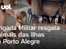Rio Grande do Sul: Brigada Militar resgata animais na região das ilhas de P