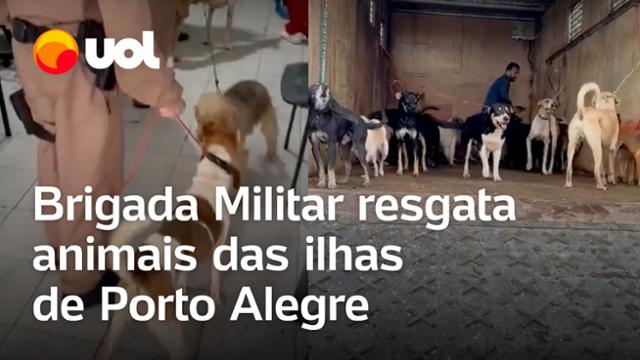 Rio Grande do Sul: Brigada Militar resgata animais na região das ilhas de Porto Alegre; veja vídeos