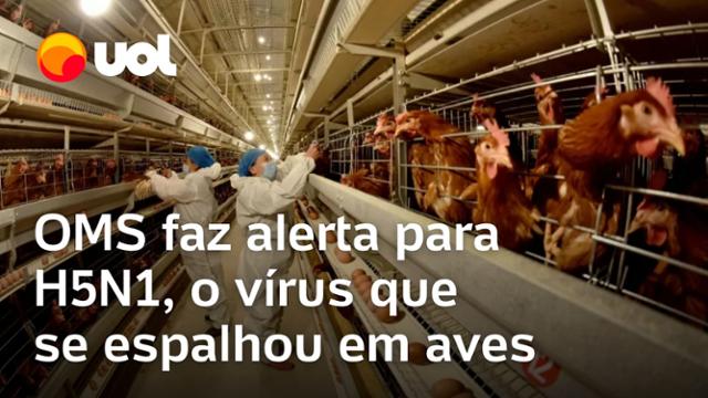 H5N1: OMS faz alerta com propagação de gripe aviária para mamíferos e outras espécies