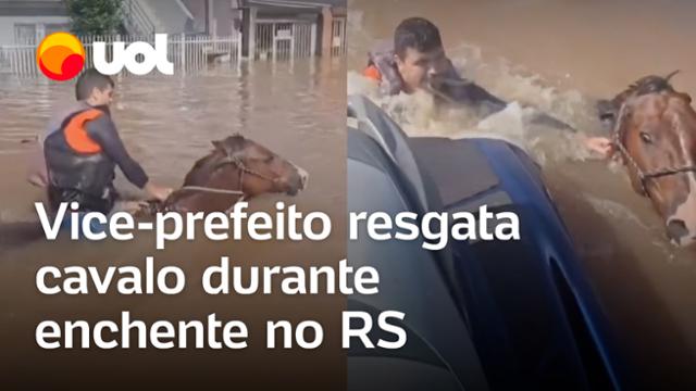 Inundações no Rio Grande do Sul: Vice-prefeito resgata cavalo durante enchente em Canoas; vídeo