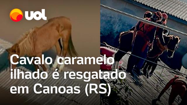 Cavalo ilhado em Canoas é resgatado após passar dias em telhado no RS; vídeo mostra resgate