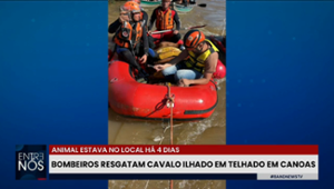 Cavalo ilhado por 4 dias em cima de telhado é resgatado em Canoas (RS)