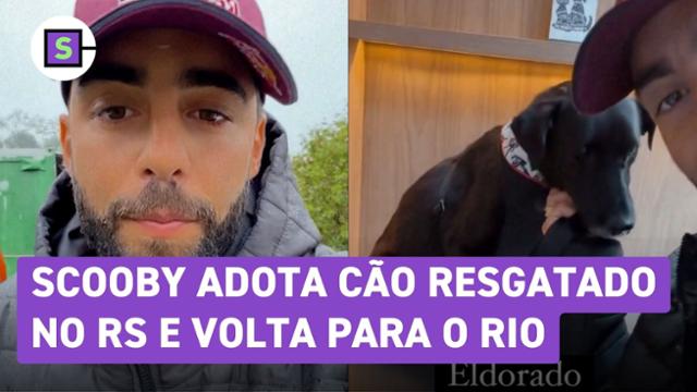 Pedro Scooby adota cachorro resgatado no Rio Grande do Sul e segue viagem para o Rio de Janeiro