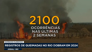 Registros de queimadas no Rio dobram em 2024