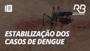 Dengue: onda de calor freia redução de casos | Bandeirantes de Acontece