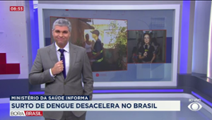 Surto de dengue desacelera no Brasil