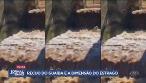 Com recuo da água, Porto Alegre enfrenta lixo na rua, ratos e insetos