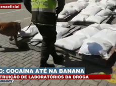 PCC: Polícia encontra cocaína em bananas