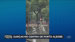 Moradores flagram dezenas de garças no Centro de Porto Alegre