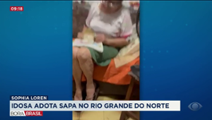 Idosa adota sapa no Rio Grande do Norte