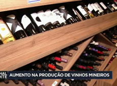 aumento da produção de vinhos mineiros