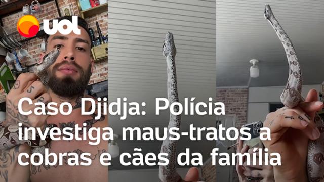 Djidja Cardoso: Polícia investiga maus-tratos a cobras na casa da ex-sinhazinha do Boi Garantido