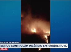 Bombeiros controlam incêndio no Parque de Itatiaia (RJ)