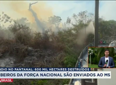 Força Nacional envia bombeiros ao MS para combater queimadas no Pantanal