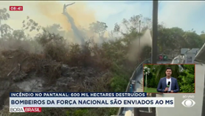 Força Nacional envia bombeiros ao MS para combater queimadas no Pantanal