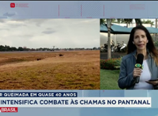 FAB intensifica combate às queimadas no Pantanal