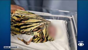 Médica é presa em flagrante por sequestrar bebê recém-nascida
