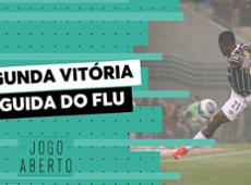 Mudanças no Flu melhoraram a equipe e levaram à vitória sobre o Palmeiras